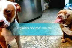 Au Mobile: Thanh niên “cứng” đi lừa đảo nhưng vẫn thách thức “khổ chủ” bóc phốt