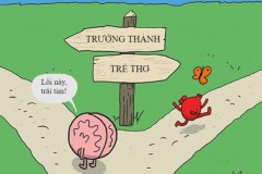 Khi chúng ta trưởng thành, đời vốn không như mơ!