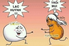 Khi "Lạc Trôi" cũng bị cuốn theo phong trào ảnh chế của dân mạng