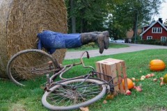 Những tình huống "cười ra nước mắt" vì thích thể hiện