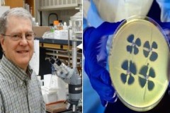 Phát hiện giải pháp tiêu diệt siêu vi khuẩn kháng các loại thuốc kháng sinh