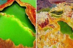 Suối lưu huỳnh Ethiopia: Nơi sinh sống nóng nhất thế giới