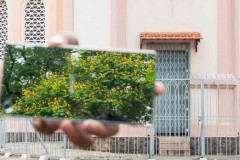 Top 5 smartphone flagship sở hữu bộ cánh sắc màu thời thượng