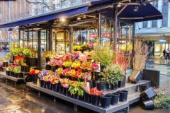 Kinh doanh shop hoa tươi cần những gì?