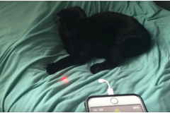 5 phụ kiện ngầu nhất bạn phải mua nếu sở hữu iPhone 7/7 Plus