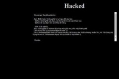 Hacker tấn công vào website sân bay Tân Sơn Nhất và Cảng hàng không Rạch Giá