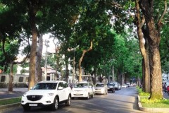 Thị trường taxi: Không còn là cạnh tranh giữa các doanh nghiệp