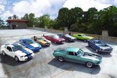 Gia đình Speed bắt đầu việc sưu tầm Mustang chỉ bằng một chú ngựa