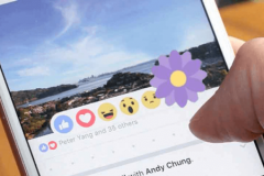 Biểu tượng cảm xúc "bông hoa" trên Facebook là gì?