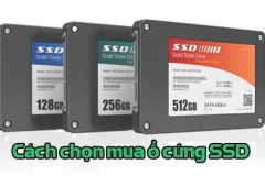 Cách chọn mua ổ cứng SSD, SamSung, KingSton hay Hyperx