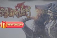 Code Ngọa Hổ Tàng Long, cách nhận và nhập Giftcode