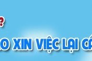 CV là gì?Tại sao đi xin việc lại cần CV