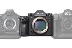 Sony A9 – khi gã khổng lồ thức giấc