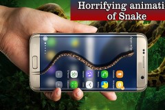 Đây là màn troll quy mô lớn trên Facebook những ngày qua, bạn đã bị gạt?