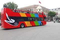 Bộ Giao thông: Chưa triển khai loại hình xe buýt du lịch hai tầng