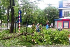 Đi kiểm tra tình hình sạt lở sau bão, 2 cán bộ sở GTVT tử vong