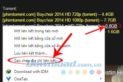 Cách tải file Torrent bằng Internet Download Manager(IDM )