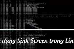 Cách sử dụng lệnh Screen trong Linux