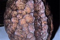 Dấu vết văn minh tiền sử: Khối sắt được gia công bằng máy móc có niên đại hàng triệu năm?