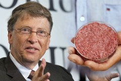 Bill Gates đầu tư 17 triệu USD vào dự án nuôi thịt nhân tạo