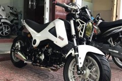 Honda MSX làng gió mới của dòng xe côn tay Monkey Việt Nam