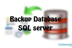 Hướng dẫn sao lưu và khôi phục SQL 2008 nhanh chóng