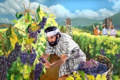 Kinh Thánh là có thật?Các nhà khảo cổ tìm ra di tích vườn nho Naboth trong Kinh Thánh