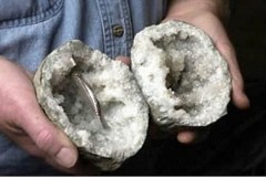 Phát hiện vật thể kim loại nhân tạo trong khối đá hàng trăm triệu năm tuổi