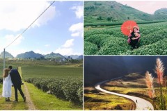 Rủ rê gấu làm 1 chuyến 'PHƯỢT THẢ GA' Mộc Châu trong tháng 9 chỉ với 1 triệu đồng