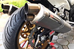 Thần gió Hayabusa rực rỡ trong màu trắng tinh khôi