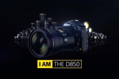 Nikon D850 đã bị cháy hàng ngay cả trước khi được bán ra chính thức