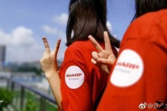 Chụp thử xóa phông trên smartphone không viền, camera kép Sharp Aquos S2