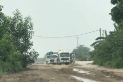 Đường đê xuống cấp, mất an toàn do xe quá tải cày nát