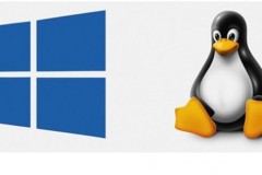 Windows Subsystem cho Linux chuẩn bị xuất hiện trên Windows Server