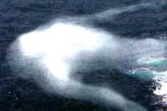 Ningen: Bí ẩn về quái vật biển hình người dài 30 mét ở Nam Cực