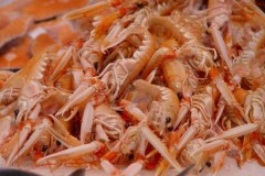 Vật liệu nhựa siêu bền, tự hủy được tạo ra từ vỏ tôm và tơ tằm