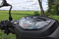 Yamaha Sirius độ kiểng nhẹ nhàng khoe dáng cùng cánh đồng lúa