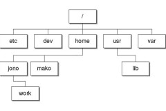 8 khác biệt chính giữa Windows và Linux