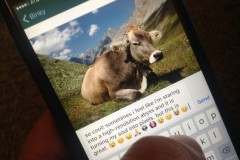 Binky: ứng dụng vô dụng nhất mọi thời đại nhưng lại cho ta thấy loài người đang sử dụng MXH không mục đích như thế nào