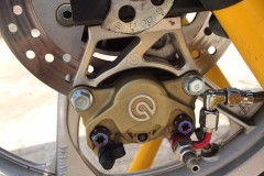 Exciter 135 độ kiểng đơn giản đầy tinh tế