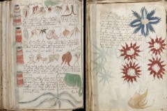 Giải mã thành công các bản thảo Voynich bí ẩn nhất thế giới