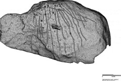 Hình chạm khắc trên phiến đá cổ chỉ hiện lên dưới ánh sáng Mặt Trăng – Ẩn đố khó lý giải