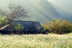 Hương sắc Việt Nam: Hỡi nàng sơn cước, phải mắt tôi say màu xanh mềm mại, hay là em góp những niềm vui?