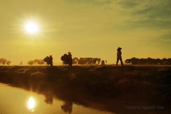 Hương sắc Việt Nam: Mẹ ơi, con mơ mãi mẹ trẻ lại, đâu người thiếu nữ kiêu sa của một thời?