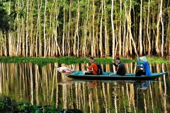 Không thể bỏ qua điểm đến khu sinh thái Xẻo Quýt khi du lịch Đồng Tháp