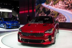 Kia Stinger sẽ có thêm bản hiệu suất cao động cơ V8?