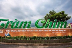 Kinh nghiệm đi vườn quốc gia Tràm Chim khi du lịch Đồng Tháp