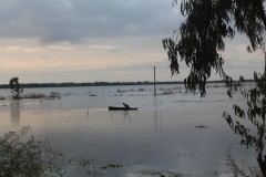 Ngắm những ô màu trên cánh đồng Tà Pạ khi du lịch An Giang
