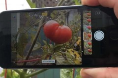 Những thủ thuật hiệu quả khai thác tính năng trên Camera iOS 11