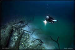 Tạo tác kỳ diệu của thiên nhiên: Một dòng sông ngầm đẹp khó tin nằm dưới đáy biển